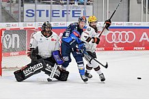 Eishockey, Herren, DEL, Saison 2023-2024, Spieltag 50, ERC Ingolstadt - Löwen Frankfurt, 01.03.2024