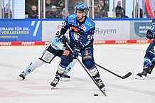 Eishockey, Herren, DEL, Saison 2025-2026, Spiel 44, ERC Ingolstadt - Dresdner Eislöwen, 27.01.2026