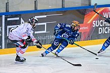 Eishockey, Frauen, DFEL, Saison 2024-2025, ERC Ingolstadt - ECDC Memmingen Indians, 19.01.2025
