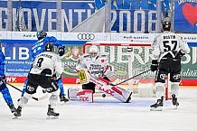 Eishockey, Herren, DEL, Saison 2025-2026, Spiel 16, ERC Ingolstadt - Kölner Haie, 31.10.2025