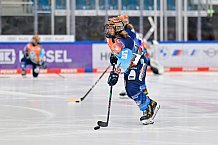 Eishockey, Frauen, DFEL, Saison 2024-2025, ERC Ingolstadt - Mad Dogs Mannheim, 23.11.2024