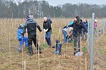 Eishockey, Herren, DEL, Saison 2023-2024, ERC Ingolstadt - Baumpflanzaktion, 02.03.2024