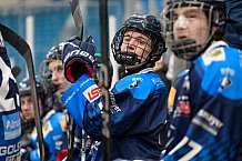 Eishockey, Herren, U20 DNL, Saison 2025-2026, ERC Ingolstadt - Jungadler Mannheim, 24.01.2026
