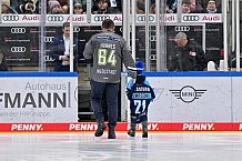 Eishockey, Herren, DEL, Saison 2023-2024, Spieltag 36, ERC Ingolstadt - Kölner Haie, 07.01.2024