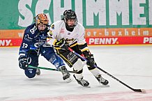 Eishockey, Frauen, DFEL, Vorbereitung, Saison 202-2025, ERC Ingolstadt - St. Pölten, 07.09.2024