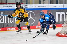 Eishockey, Frauen, DFEL, Saison 2025-2026, Spieltag 3, ERC Ingolstadt - Mad Dogs Mannheim, 27.09.2025