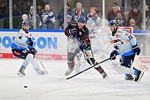 Eishockey, Herren, DEL, Saison 2024-2025, Spieltag 39, Straubing Tigers - ERC Ingolstadt, 24.01.2025