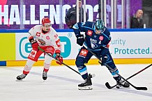 Hockey, Mens, CHL, Season 2025-2026, Regular Season, Game Day 6, ERC Ingolstadt - Odense Bulldogs, 15.10.2025