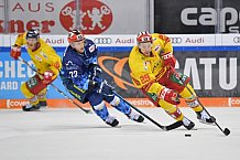 ERC Ingolstadt vs Düsseldorfer EG, DEL, Deutsche Eishockey Liga, Spieltag 44, 14.02.2020