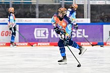 Eishockey, Frauen, DFEL, Saison 2024-2025, ERC Ingolstadt - ECDC Memmingen Indians, 16.11.2024