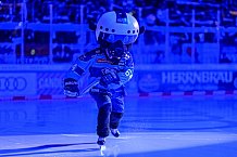 Eishockey, Herren, DEL, Saison 2026-2027, Spieltag 8, ERC Ingolstadt - Löwen Frankfurt, 11.10.2026