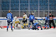 Eishockey, Frauen, DFEL, Saison 2023-2024, ERC Ingolstadt - Mad Dogs Mannheim, 18.02.2024
