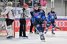 Eishockey, Herren, DEL, Saison 2023-2024, Playoffs Viertelfinale - Spiel 2, ERC Ingolstadt - Fischtown Pinguins , 20.03.2024