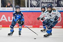 Eishockey, Herren, DEL, Saison 2024-2025, Spieltag 45, ERC Ingolstadt - Iserlohn Roosters, 16.02.2025