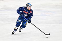 Eishockey, Herren, DEL, Saison 2024-2025, Playoffs Halbfinale, Spiel 3, ERC Ingolstadt - Kölner Haie, 06.04.2025