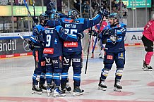 Eishockey, Herren, DEL, Saison 2025-2026, Spiel 11, ERC Ingolstadt - Nürnberg Ice Tigers, 17.10.2025