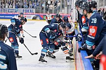 Eishockey, Mens, CHL, Season 2023-2024, ERC Ingolstadt - Växjö Lakers, 14.11.2023