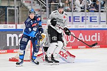 Eishockey, Herren, DEL, Saison 2024-2025, Spieltag 36, ERC Ingolstadt - Kölner Haie, 12.01.2025