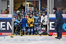 Eishockey, Herren, DEL, Saison 2023-2024, ERC Ingolstadt - Kids on Ice Day, 18.11.2023