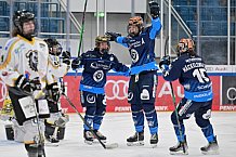 Eishockey, Frauen, DFEL, Saison 2024-2025, ERC Ingolstadt - Mad Dogs Mannheim, 23.11.2024