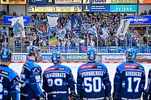 Eishockey, Herren, DEL, Saison 2025-2026, Spiel 47, ERC Ingolstadt - Nürnberg Ice Tigers, 01.03.2026