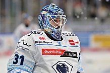 Eishockey, Herren, Gäuboden-Cup 2024, Straubing Tigers - ERC Ingolstadt, 29.08.2024