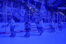Eishockey, Herren, DEL, Saison 2024-2025, Spieltag 8, ERC Ingolstadt - Grizzlys Wolfsburg, 11.10.2024