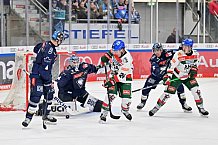 Eishockey, Herren, DEL, Saison 2024-2025, Spieltag 15, ERC Ingolstadt - Augsburger Panther, 03.11.2024