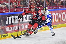 Koelner Haie vs ERC Ingolstadt, DEL, Deutsche Eishockey Liga, Playoffs, Viertelfinale, Spiel 7, 31.03.2019