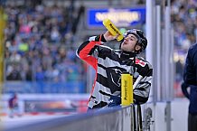 Eishockey, Herren, DEL, Saison 2023-2024, Spieltag 30, ERC Ingolstadt - Straubing Tigers, 23.12.2023
