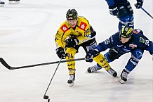 ERC Ingolstadt - Krefeld Pinguine, Eishockey, DEL, Deutsche Eishockey Liga, Spieltag 34, 05.01.2016, Foto: st-foto.de / Oliver STRISCH