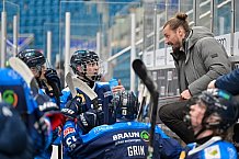 Eishockey, Herren, U20 DNL, Saison 2025-2026, ERC Ingolstadt - Jungadler Mannheim, 24.01.2026