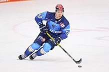 Eishockey, Herren, DEL, Saison 2020-2021, ERC Ingolstadt - Schwenninger Wild Wings, 19.01.2021