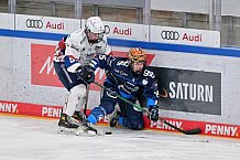 Eishockey, Frauen, DFEL, Saison 2024-2025, ERC Ingolstadt - Eisbären Berlin, 15.02.2025