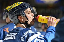 ERC Ingolstadt vs Grizzlys Wolfsburg, Eishockey, DEL, Deutsche Eishockey Liga, Spieltag 37, 13.01.2017