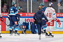 Hockey, Mens, CHL, Season 2025-2026, Regular Season, Round of 16, ERC Ingolstadt - EC Red Bull Salzburg, 12.11.2025