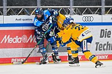 Eishockey, Frauen, DFEL, Saison 2025-2026, Testspiel, ERC Ingolstadt - HC Davos, 14.02.2026