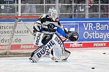 Eishockey, Herren, DEL, Saison 2024-2025, Spieltag 39, Straubing Tigers - ERC Ingolstadt, 24.01.2025