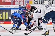 Eishockey, Herren, DEL, Saison 2023-2024, Spieltag 20, ERC Ingolstadt - Adler Mannheim, 19.11.2023