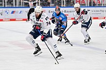 Eishockey, Herren, DEL, Saison 2023-2024, Spieltag 38, ERC Ingolstadt - Adler Mannheim, 14.01.2024