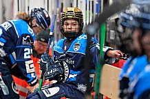 Eishockey, Frauen, DFEL, Saison 2025-2026, Spieltag 3, ERC Ingolstadt - Mad Dogs Mannheim, 27.09.2025