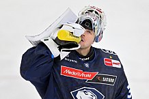 Eishockey, Herren, DEL, Saison 2024-2025, Spieltag 45, ERC Ingolstadt - Iserlohn Roosters, 16.02.2025