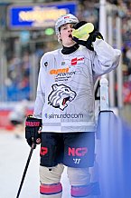 Eishockey, Herren, DEL, Saison 2024-2025, Playoffs Viertelfinale, Spiel 3, ERC Ingolstadt - Nürnberg Ice Tigers, 21.03.2025