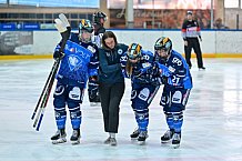 Eishockey, Frauen, DFEL, Saison 2023-2024, ERC Ingolstadt - ECDC Memmingen Indians, 21.01.2024