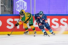 Hockey, Mens, CHL, Season 2025-2026, Regular Season, Game Day 1, ERC Ingolstadt - Ilves Tampere, 28.08.2025