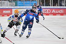 Eishockey, Herren, DEL, Saison 2023-2024, Playoffs Viertelfinale - Spiel 2, ERC Ingolstadt - Fischtown Pinguins , 20.03.2024