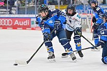 Eishockey, Herren, DEL, Saison 2024-2025, Spieltag 45, ERC Ingolstadt - Iserlohn Roosters, 16.02.2025