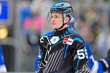 Eishockey, Herren, DEL, Saison 2025-2026, Spiel 40, ERC Ingolstadt - Straubing Tigers, 16.01.2026