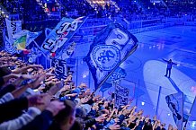 Eishockey, Herren, DEL, Saison 2025-2026, Spiel 19, ERC Ingolstadt - Augsburger Panther, 16.11.2025
