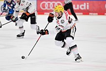 Eishockey, Herren, DEL, Saison 2024-2025, Spieltag 14, ERC Ingolstadt - Löwen Frankfurt, 31.10.2024